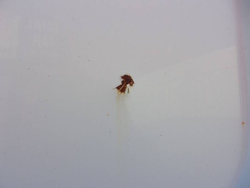 2016 Ford Transit 250