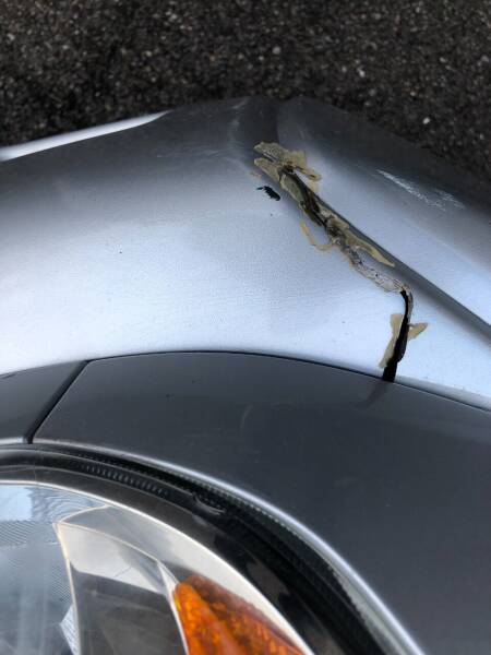 2013 Toyota Tacoma V6